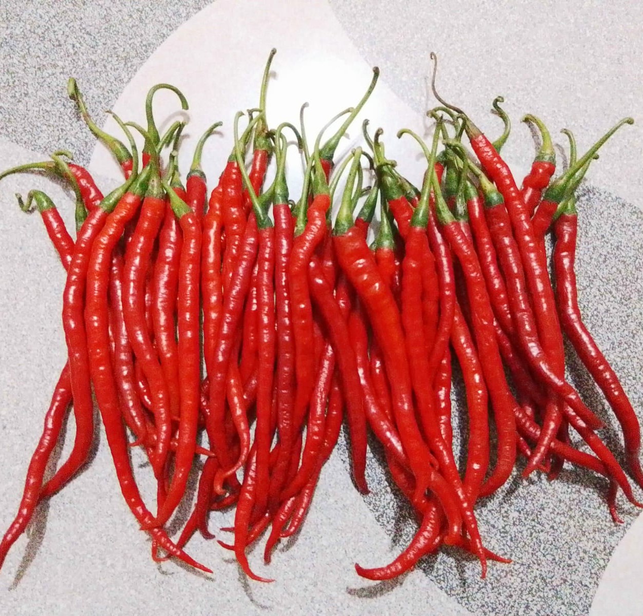 Cabai Keriting Merah